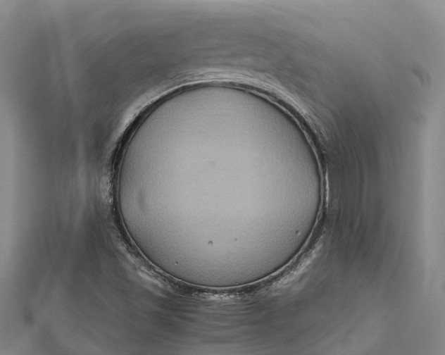 X0000112111501200908251200