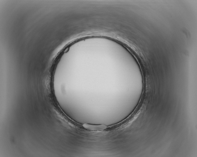 X0000112111502200908251200