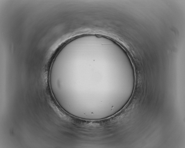 X0000112111503200908251200