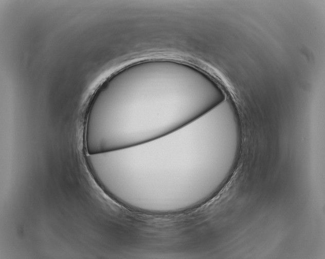 X0000112111504200908251200