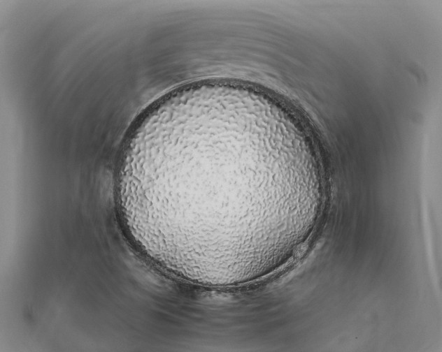 X0000112111505200908251200