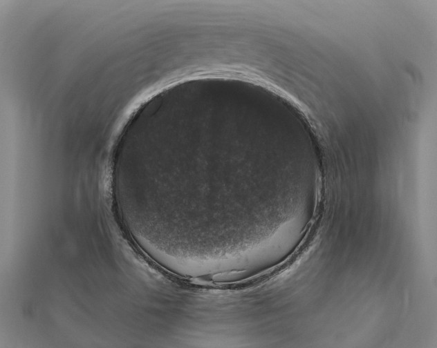 X0000112111506200908251200