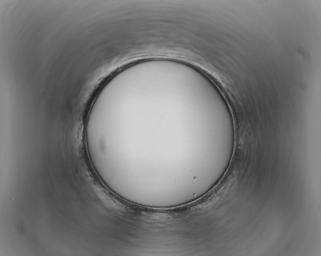 X0000112111507200908251200