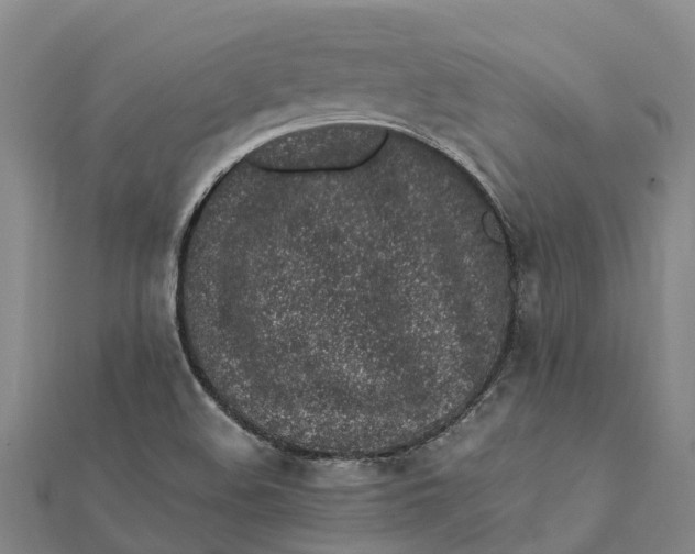 X0000112111508200908251200