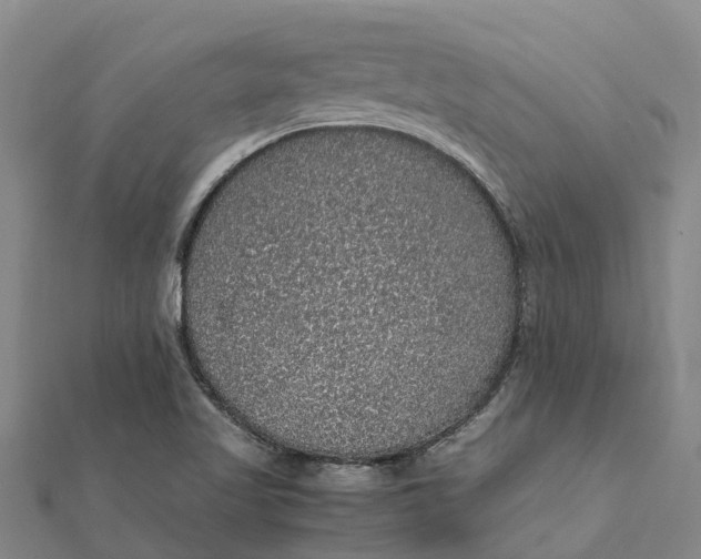 X0000112111509200908251200