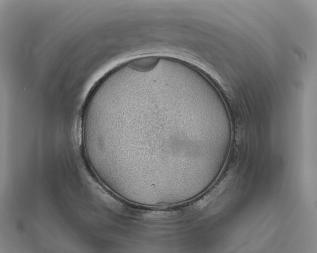 X0000112111510200908251200