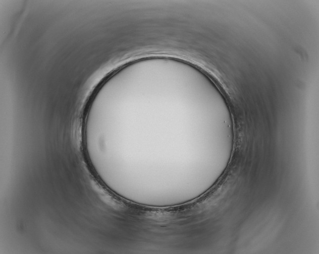 X0000112111511200908251200