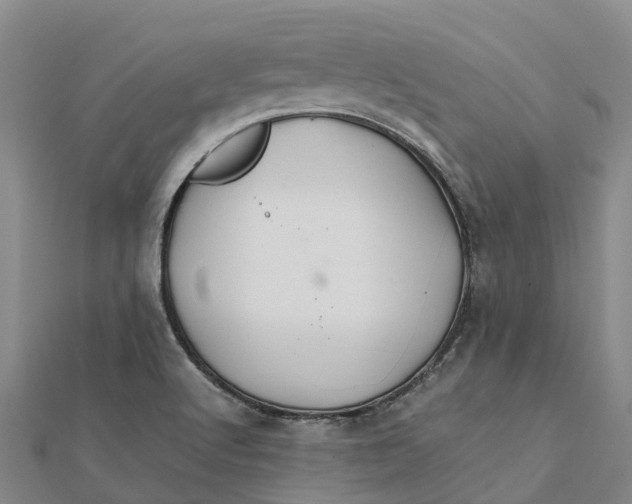 X0000112111512200908251200