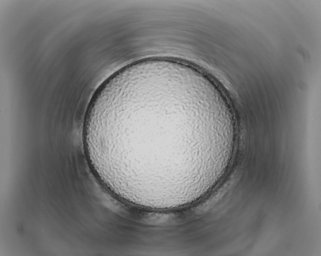 X0000112111513200908251200