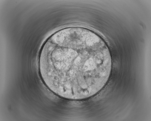 X0000112111514200908251200