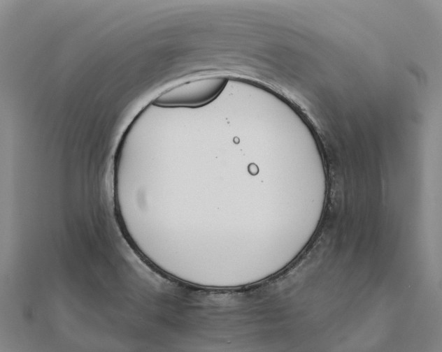 X0000112111516200908251200