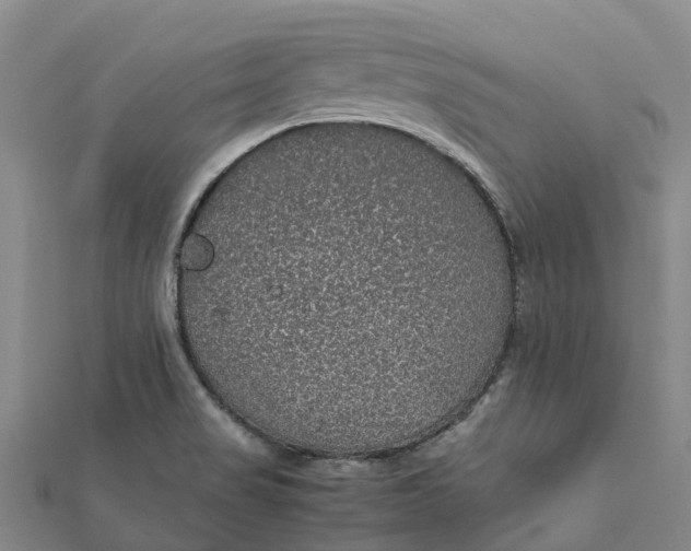 X0000112111517200908251200