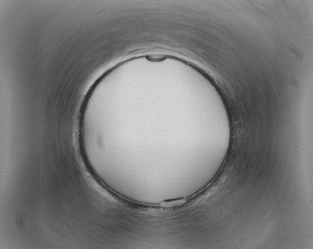 X0000112111518200908251200