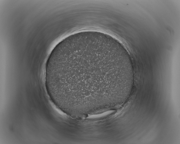 X0000112111519200908251200