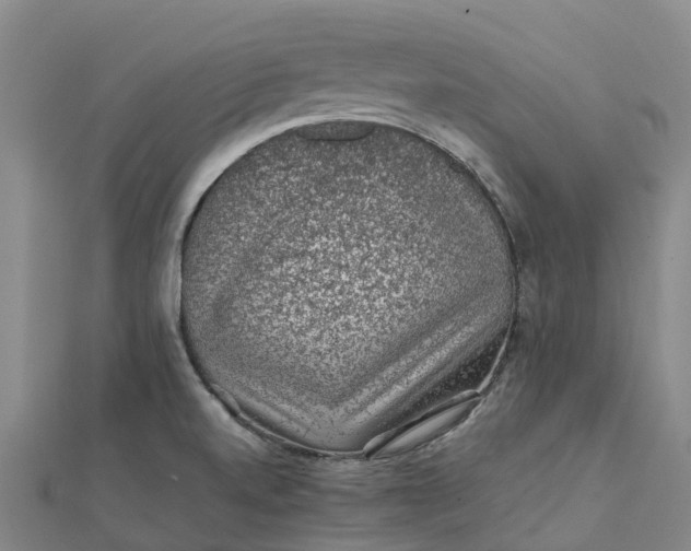 X0000112111520200908251200