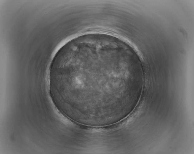 X0000112111522200908251200