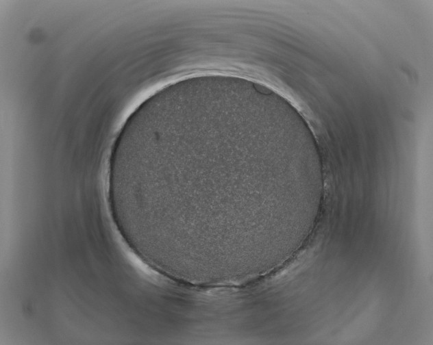 X0000112111523200908251200