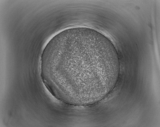 X0000112111524200908251200