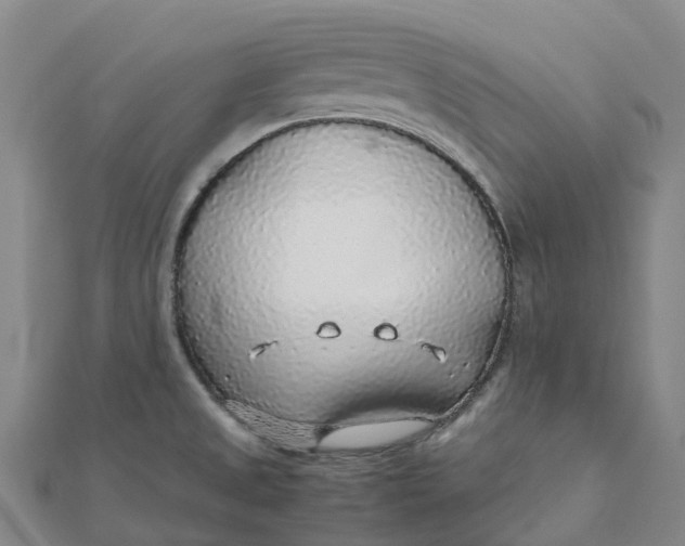 X0000112111525200908251200