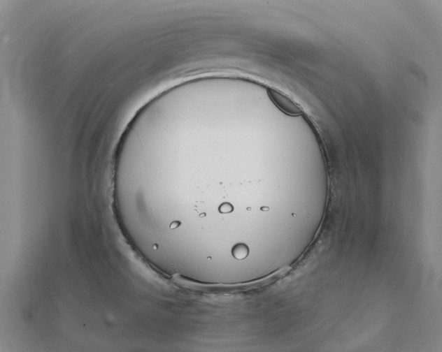 X0000112111526200908251200