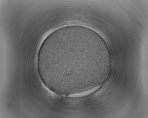 X0000112111527200908251200