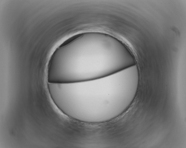 X0000112111528200908251200