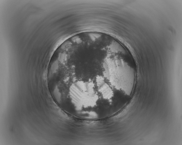 X0000112111529200908251200