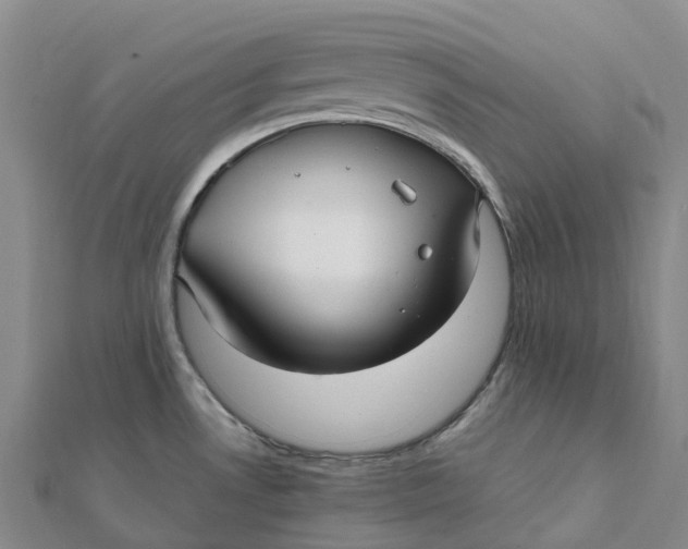 X0000112111530200908251200