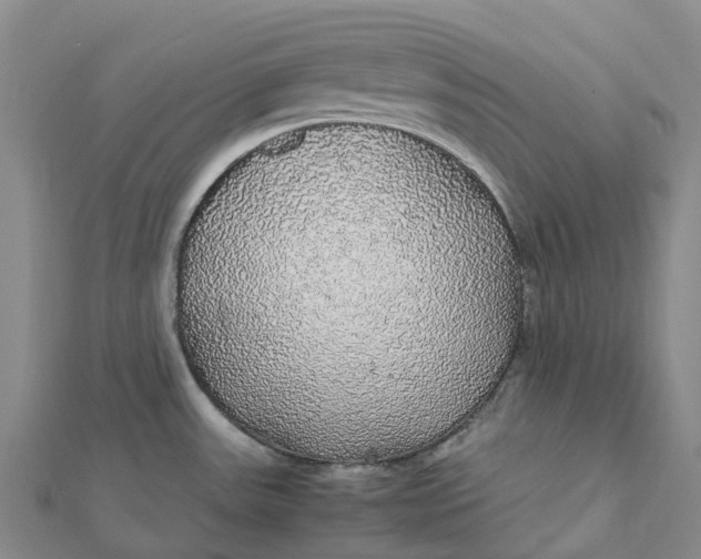 X0000112111531200908251200