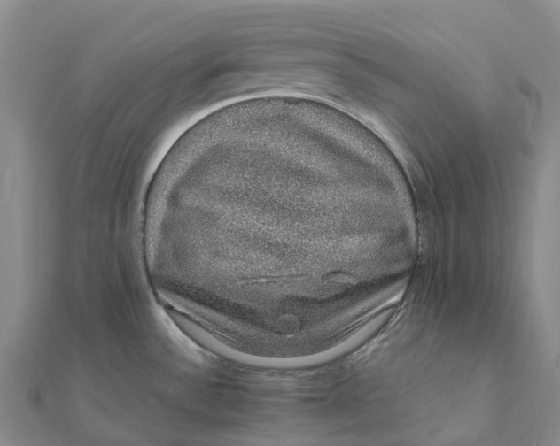 X0000112111532200908251200