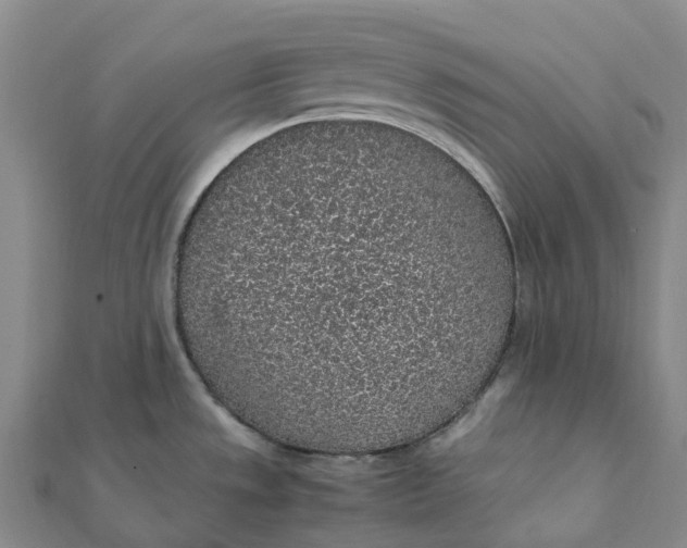 X0000112111533200908251200