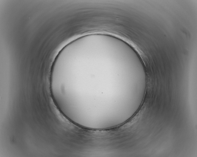 X0000112111534200908251200