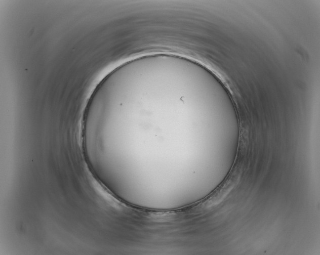 X0000112111535200908251200