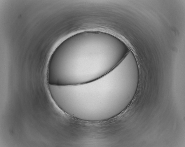 X0000112111536200908251200