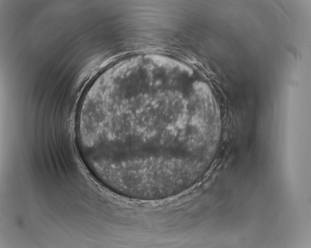 X0000112110002200909011155