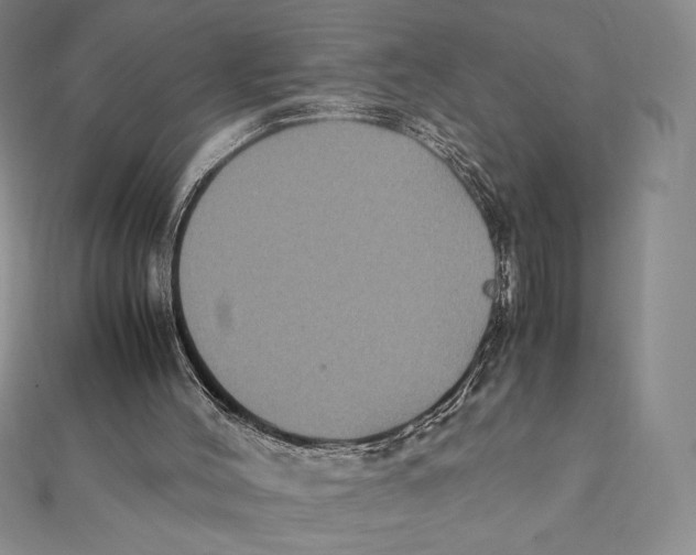 X0000112110004200909011155