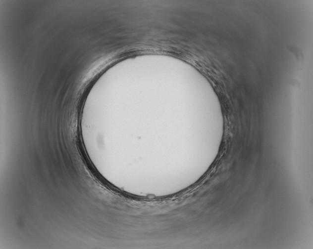 X0000112110005200909011155