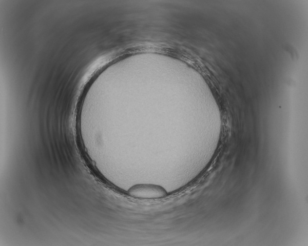 X0000112110006200909011155