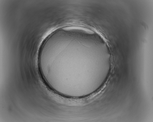 X0000112110008200909011155