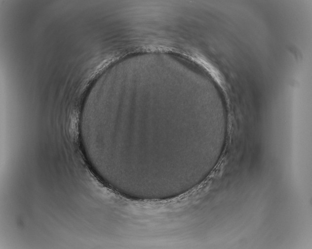 X0000112110009200909011155