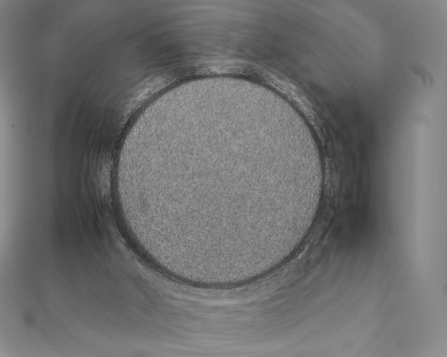 X0000112110010200909011155