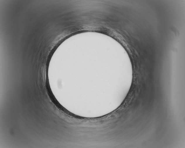 X0000112110011200909011155