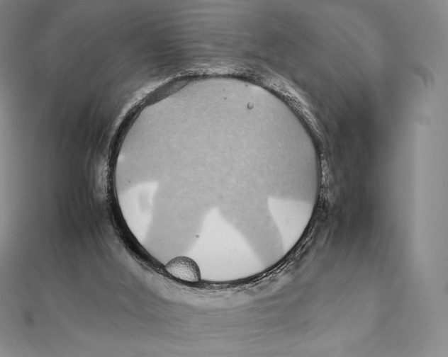 X0000112110012200909011155