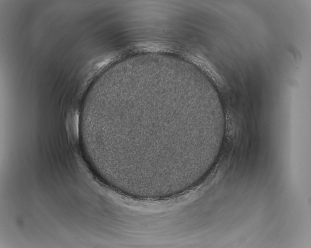 X0000112110014200909011155