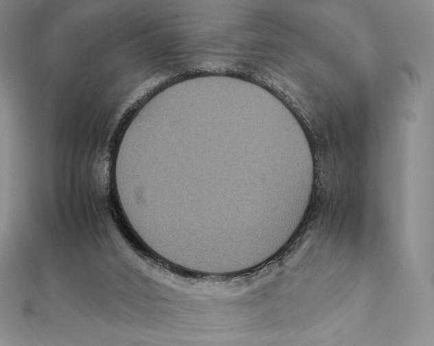 X0000112110016200909011155