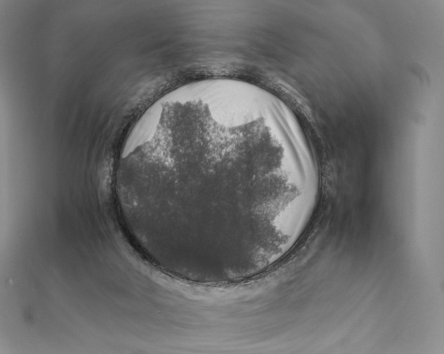 X0000112110018200909011155