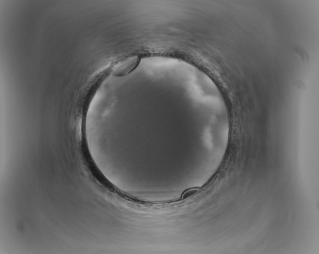 X0000112110019200909011155
