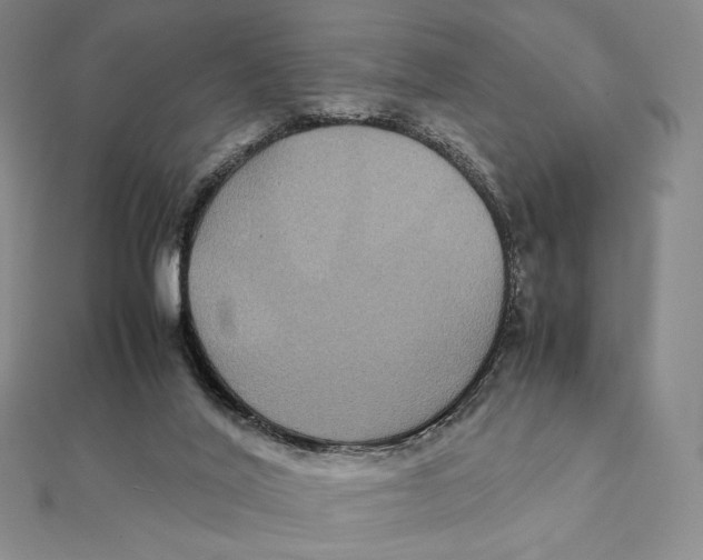 X0000112110020200909011155