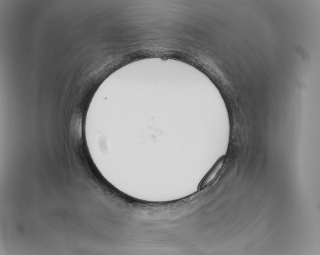 X0000112110021200909011155