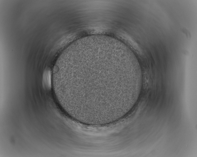 X0000112110022200909011155